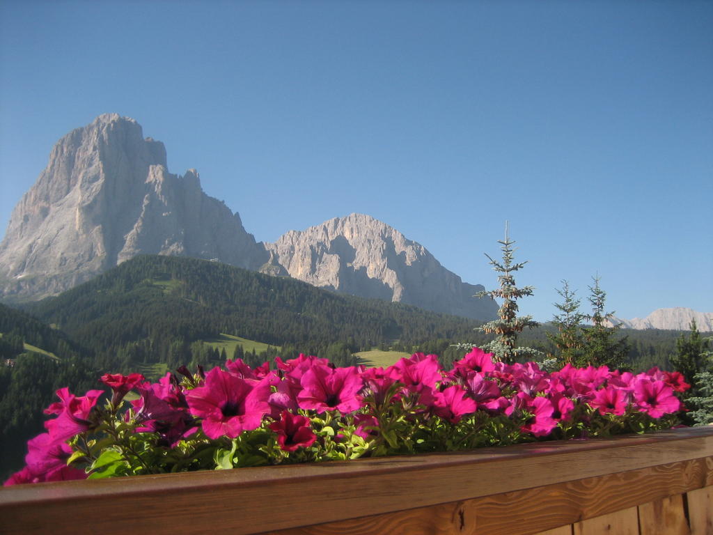 Apartments Etruska Santa Cristina Val Gardena Pokoj fotografie